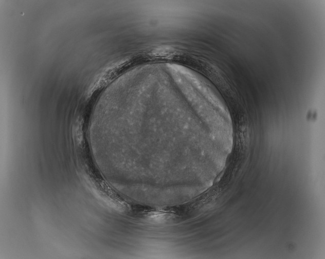 X0000114650504200911101324