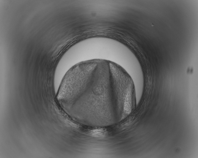 X0000114650505200911101324