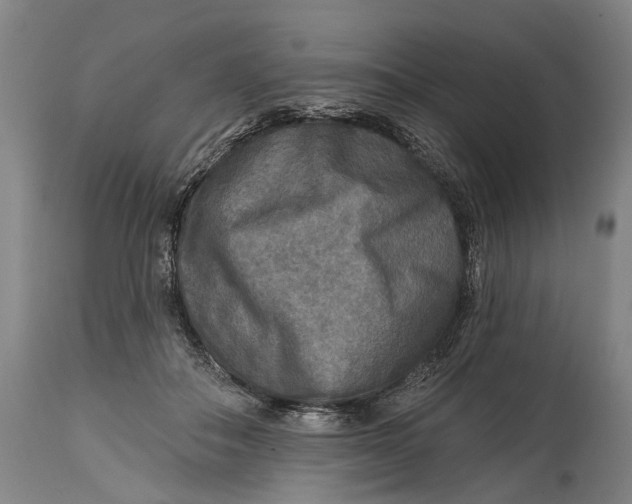 X0000114650506200911101323