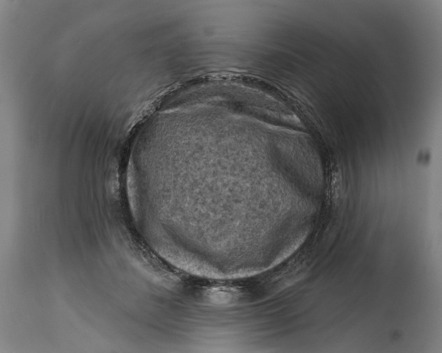 X0000114650508200911101323