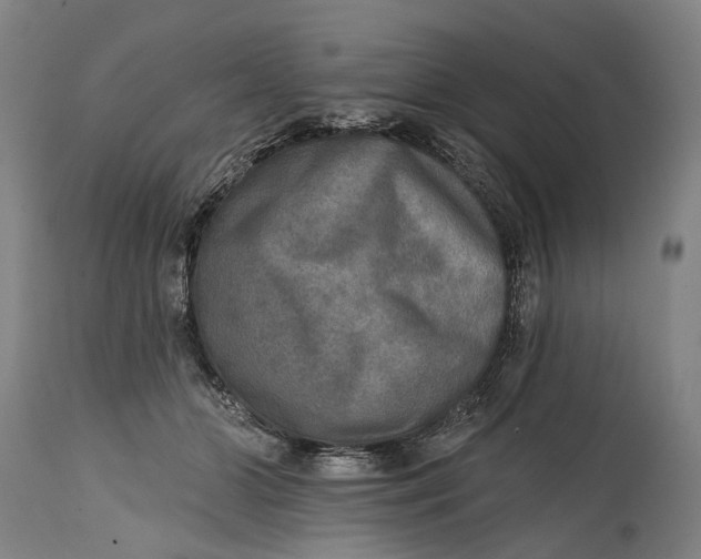 X0000114650510200911101323