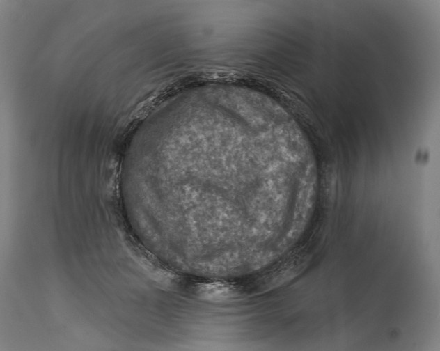 X0000114650511200911101323