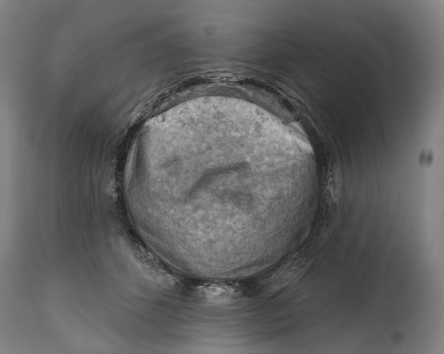 X0000114650512200911101323