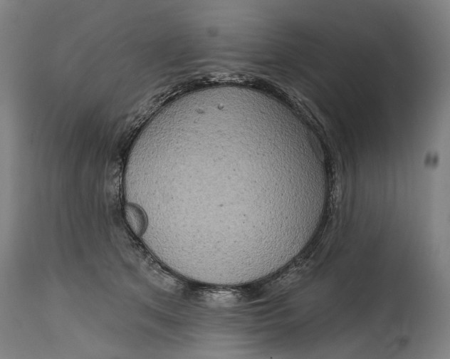 X0000114650513200911101323