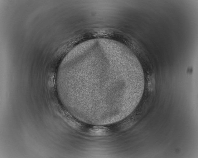 X0000114650514200911101323