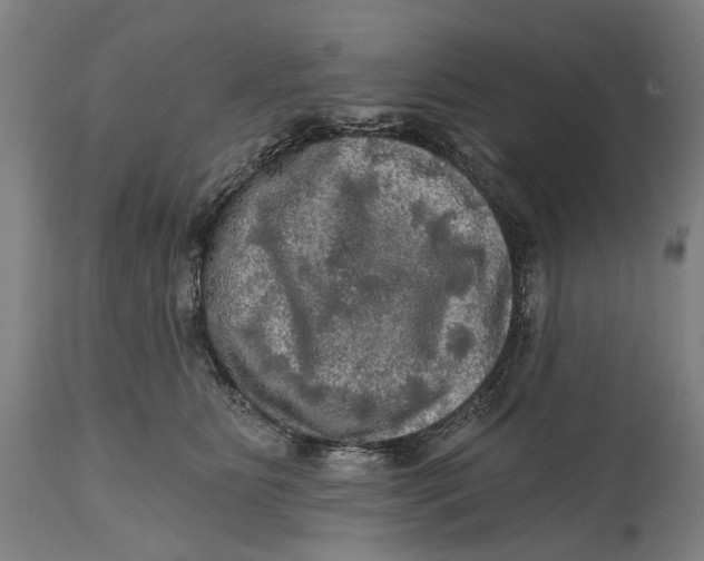 X0000114650515200911101323