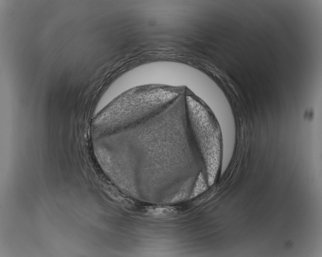 X0000114650517200911101323