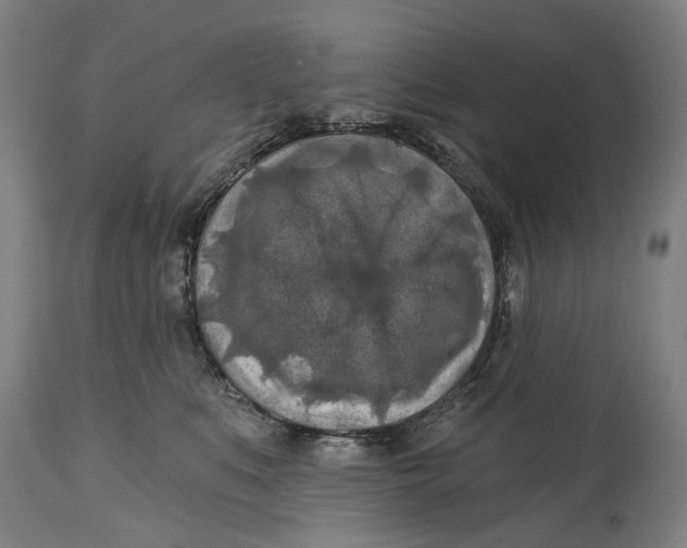 X0000114650519200911101323