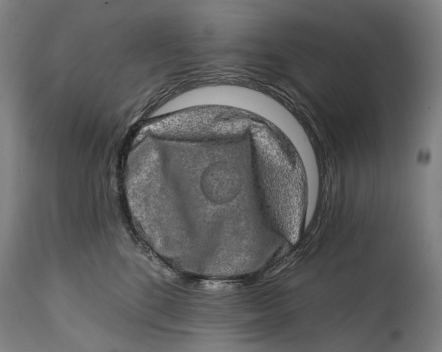 X0000114650520200911101323