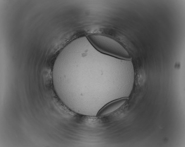 X0000114650521200911101323