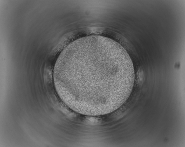 X0000114650522200911101323