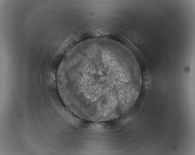 X0000114650523200911101323