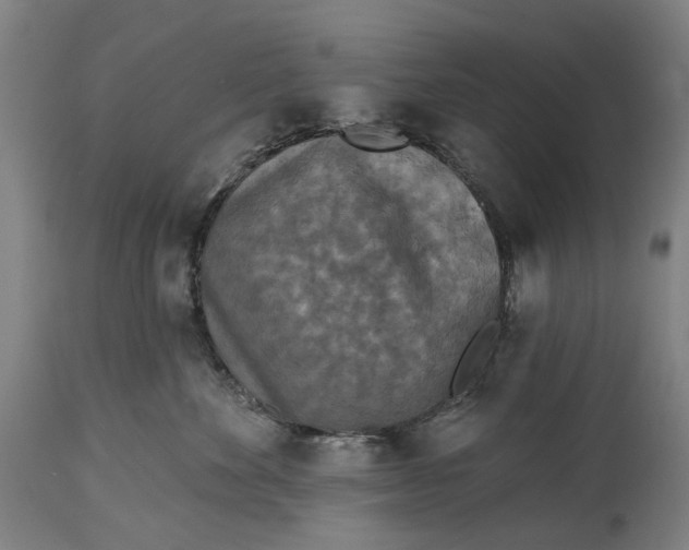 X0000114650524200911101323