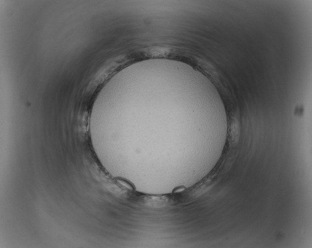 X0000114650525200911101323