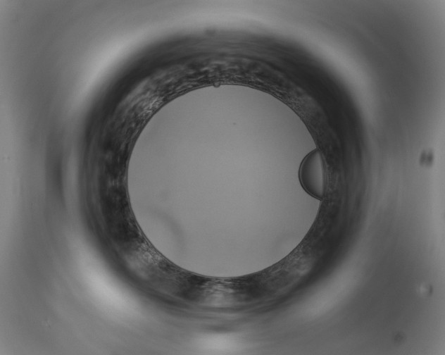 X0000114650526200911101323