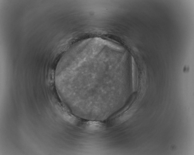 X0000114650528200911101323