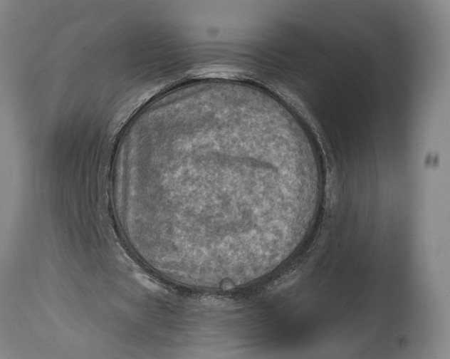 X0000114650529200911101323