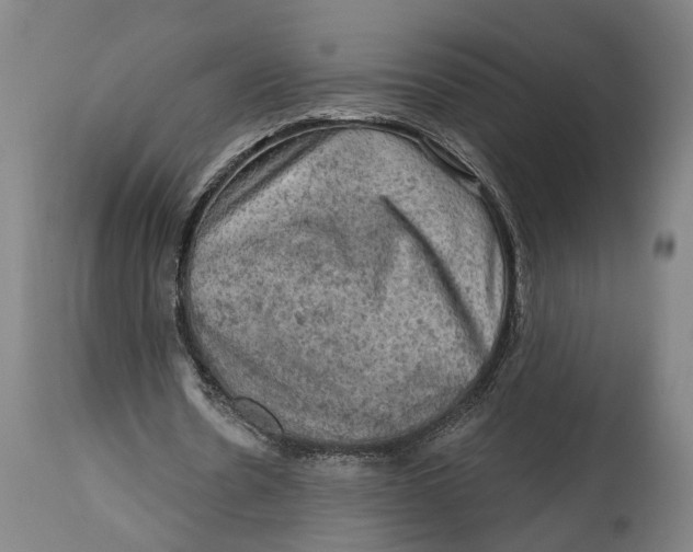 X0000114650530200911101323