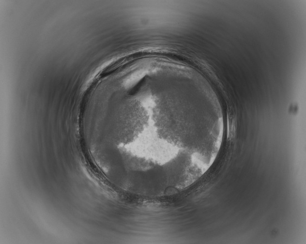 X0000114650531200911101323