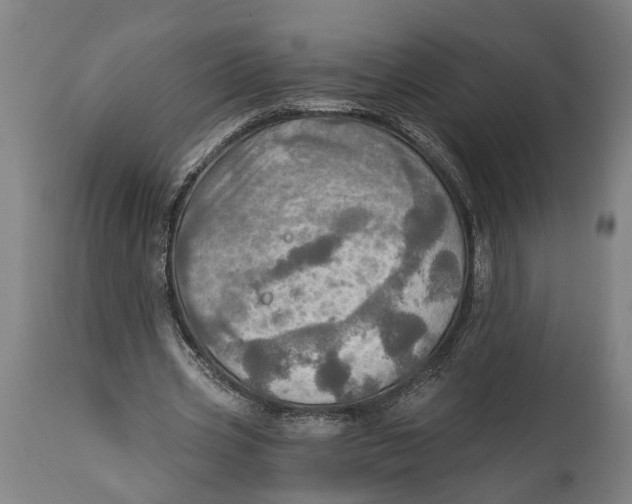 X0000114650533200911101323