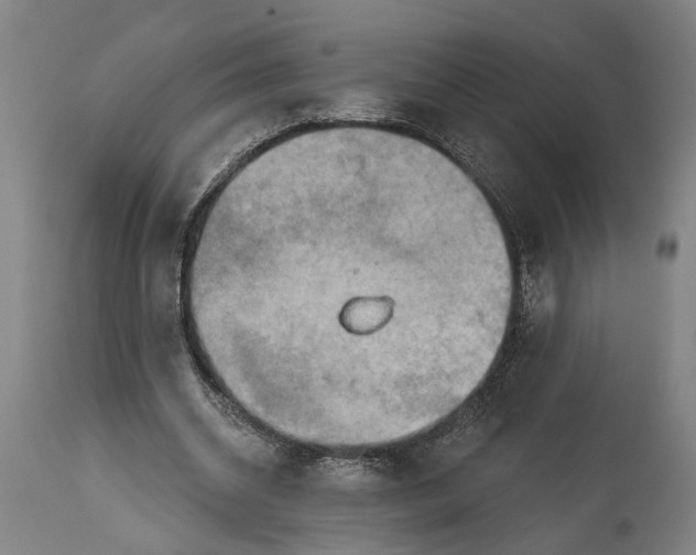 X0000114650534200911101323