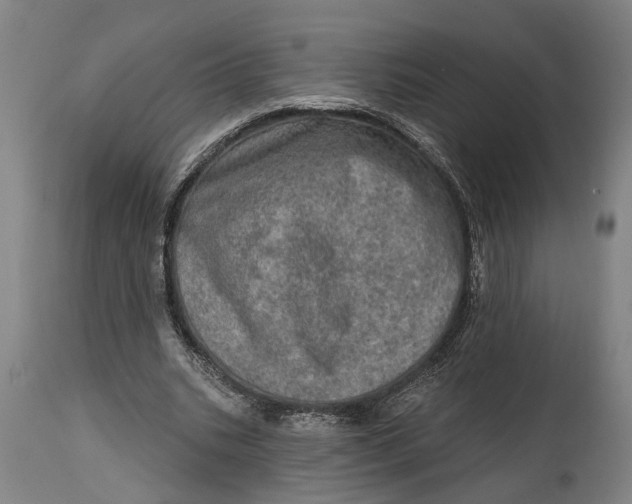 X0000114650535200911101323