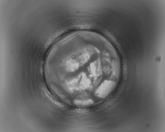 X0000114650537200911101323