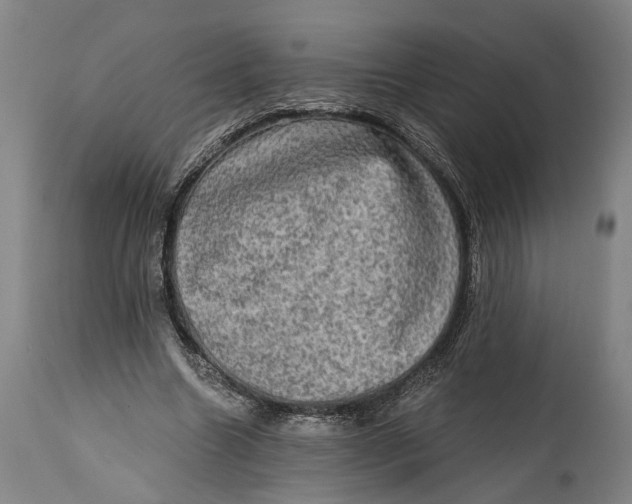 X0000114650538200911101323