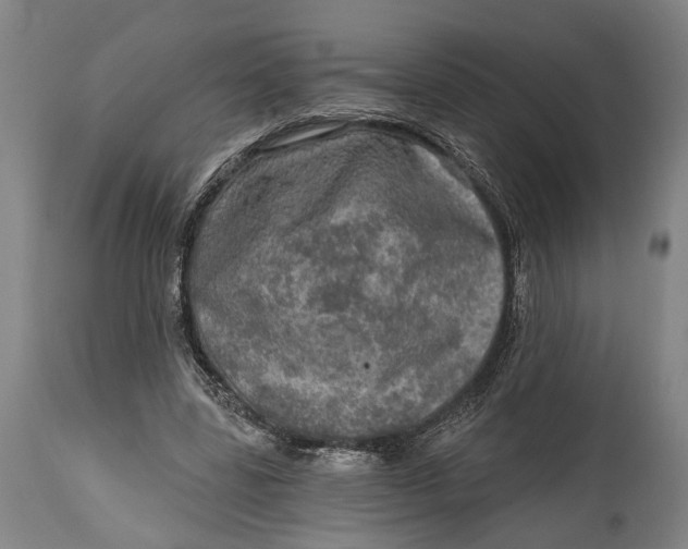 X0000114650539200911101323