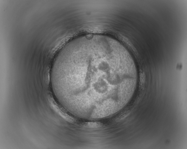 X0000114650541200911101323