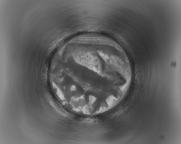 X0000114650542200911101323