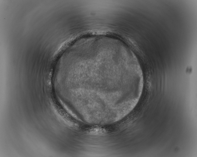 X0000114650543200911101323