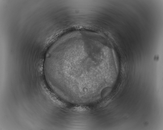 X0000114650545200911101323