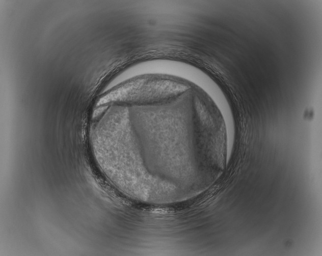 X0000114650546200911101323