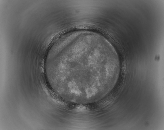 X0000114650547200911101323