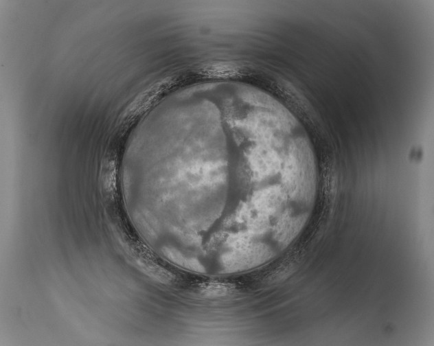 X0000114650549200911101323