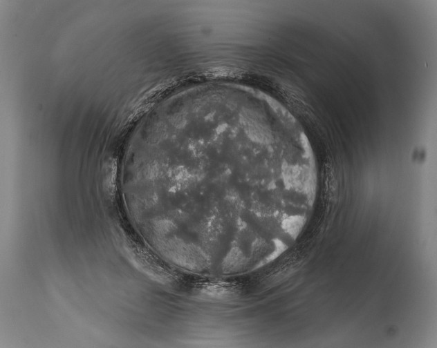 X0000114650550200911101323