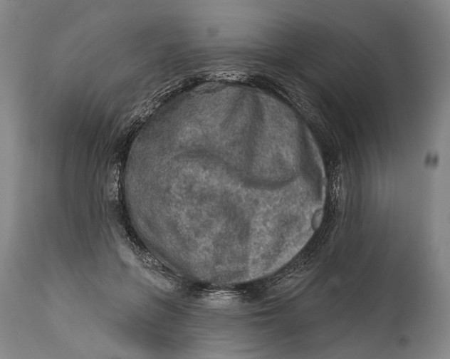 X0000114650551200911101323