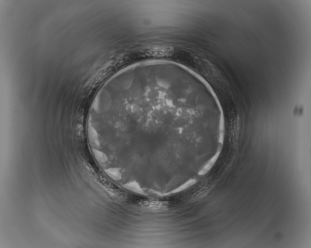 X0000114650553200911101323