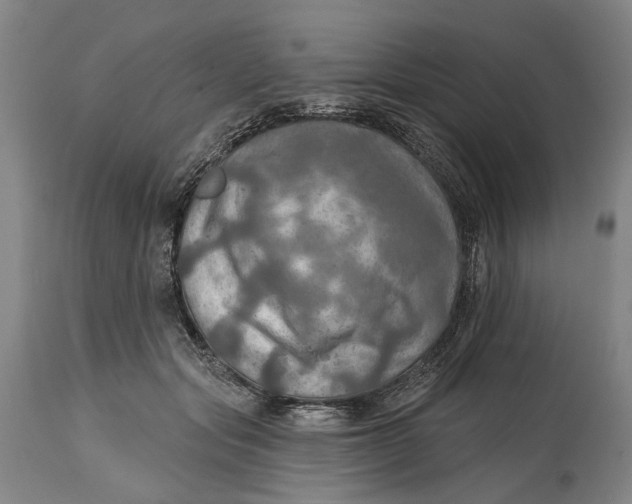 X0000114650557200911101323