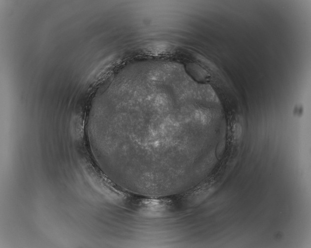 X0000114650558200911101323