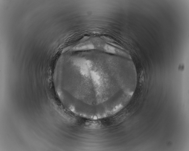 X0000114650559200911101323