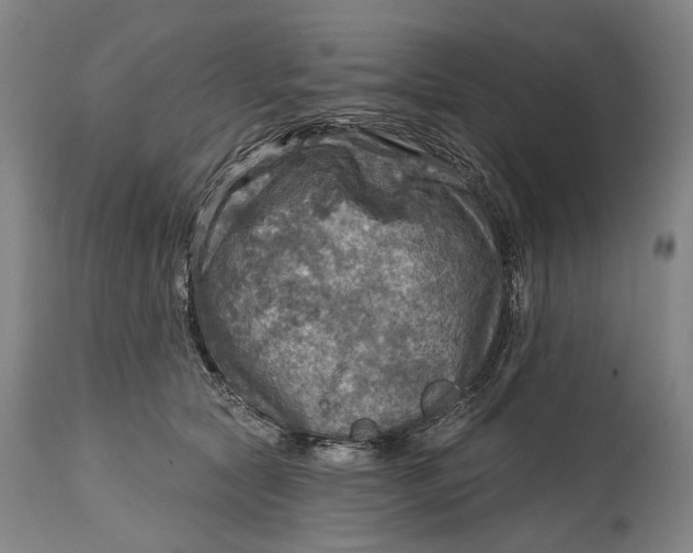 X0000114650561200911101323