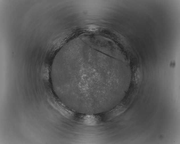 X0000114650562200911101323