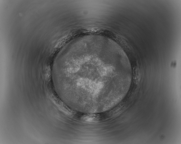 X0000114650563200911101323