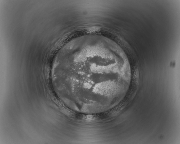 X0000114650565200911101323