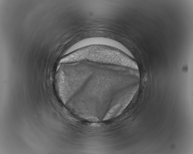 X0000114650566200911101323