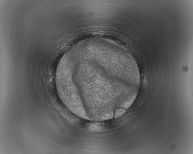 X0000114650567200911101323