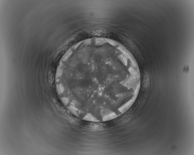 X0000114650569200911101323