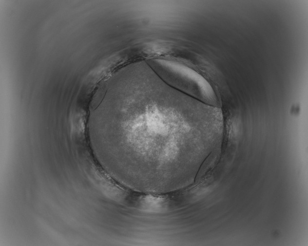 X0000114650570200911101323